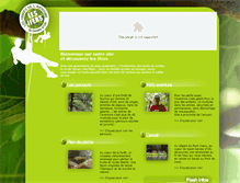 Tablet Screenshot of ifers.net